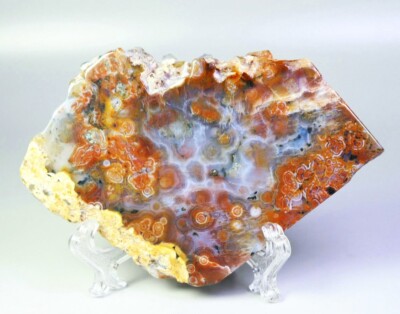 Natural Ocean Jasper Agate Eye Quartz Crystal Slice Stone Reiki Stand / Specimen
