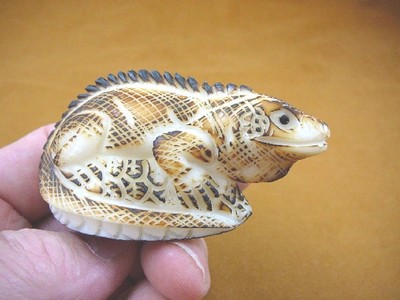 tne-liz-ig-204b) brown IGUANA lizard TAGUA NUT Figurine Vegetable reptile