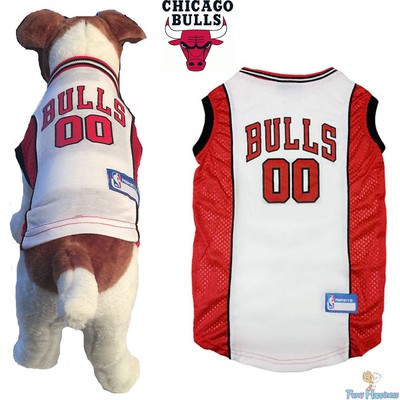nba dog jersey