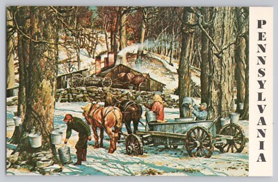 Pennsylvania maple syrup makers postcard from Tom Schenk painting - chrome card 