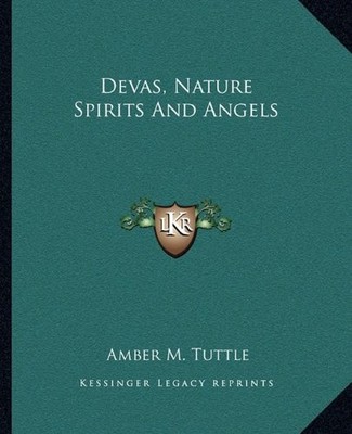 DEVAS, NATURE SPIRITS AND ANGELS By Amber M. Tuttle **BRAND NEW**