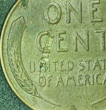  on The Hot Collector