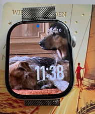 Apple Watch Series 10 46 mm Aluminium GPS wasserdicht Silber Edelstahl-Mesh