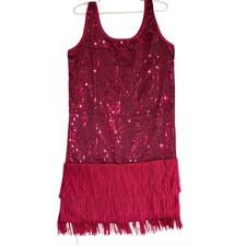 VTG Serious Fun Sequin Flapper Dress Pink Fringe Sleeveless Costume Party Medium
