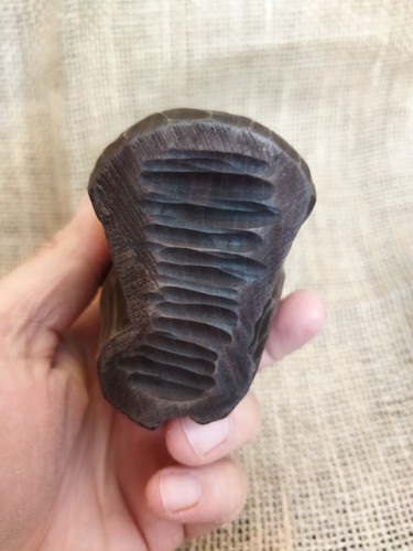 Estatuilla de buitre en madera artesanal. Decoración única - Imagen 19 de 24