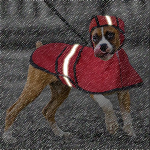 Impermeable para perros Impermeable Reflectante Mascotas Ropa para la lluvia Abrigo con capucha Ropa pequeña/mediana - Imagen 12 de 15