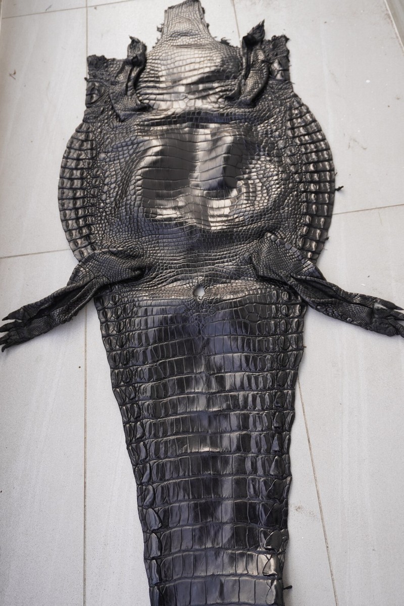 Black Genuine Crocodile Skin Leather Hide Exotic Pelt taxidermy