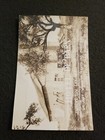 Picture 2 of 3