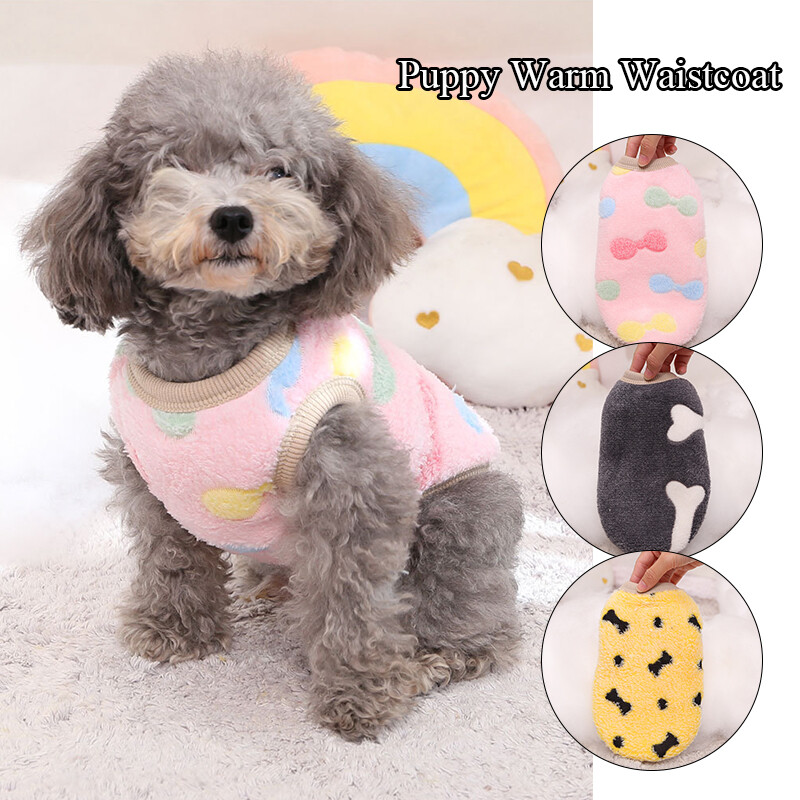 What Size Clothes Do Toy Poodles Wear