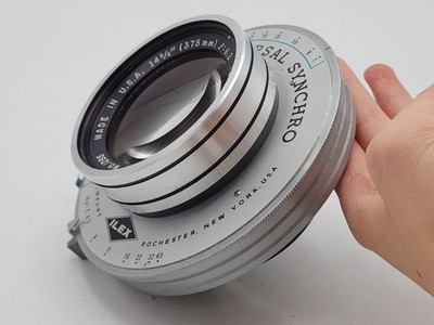 Ilex Calumet Caltar 14 3/4