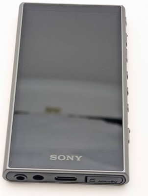 SONY NW-A306 gray WALKMAN 32GB Hi-Res Multilingual OK (JP Model