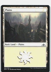 Plains #260 - Guilds of Ravnica