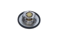 Thermostat Land Rover 110