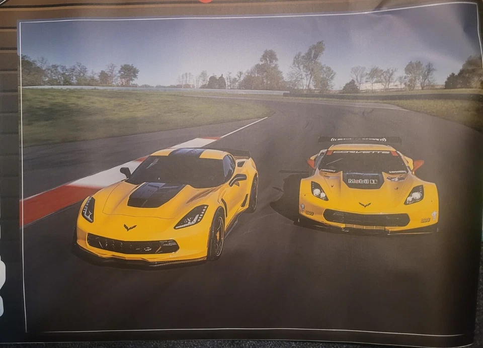 NUEVA calcomanía adhesiva de vinilo con licencia Fat Head Fathead Chevrolet CR7 ENORME NUEVA EN CAJA Foto 3 de 4