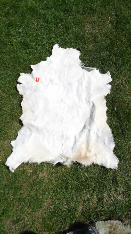 Ziegenfell * Goatskin Leather * Ziege * Teppich * Läufer * Kamin Deko - Bild 1 von 4