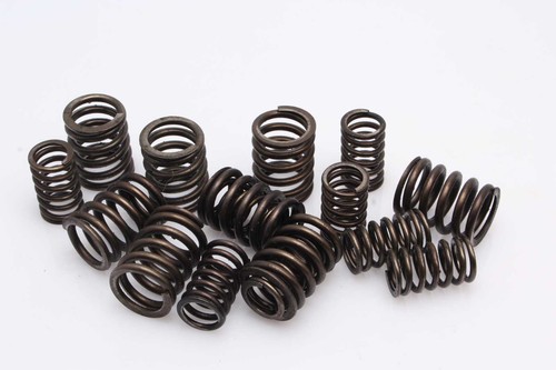 Ventilfedern Nockenwellen Kawasaki Z 1000 A1 Z1F/A 77-80