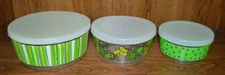 Food Storage Container Set of 3 with lids - Cactus Green - Plastic