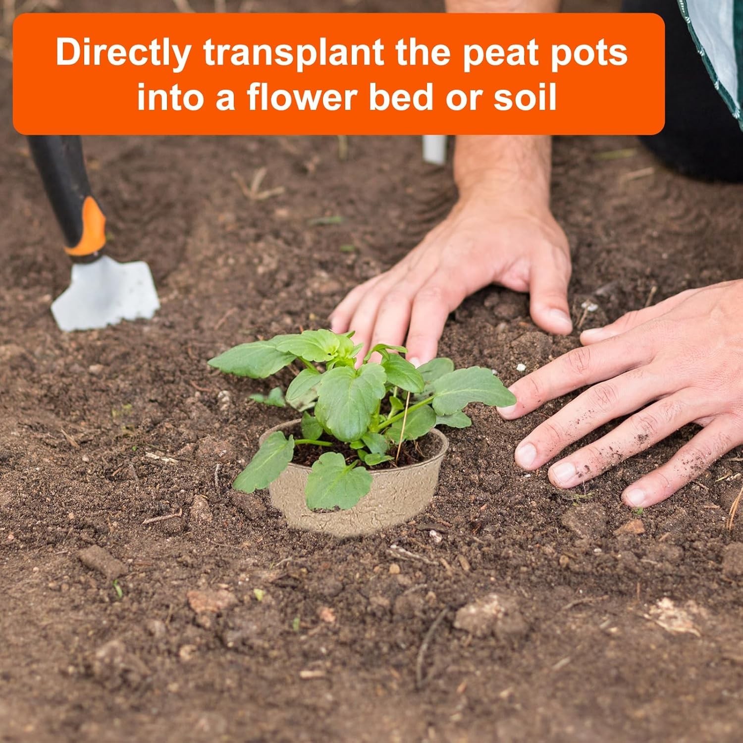 60 Packs 3.15 Inch Peat Pots,Biodegradable Pots for Seedlings with Drainage Hole