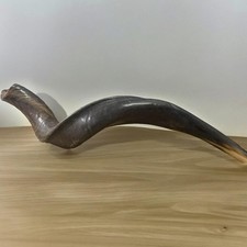 Yemenite Kudu Horn Shofar Full Natural 20'-22'' KOSHER Jerusalem Free Shipping