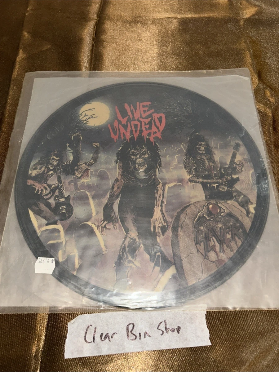 Slayer Picture Disc Vinyl Records for sale | eBay