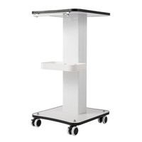 Beauty Salon Stand Rollwagen Spa Beauty Machine Holder Trolley 3 Tier