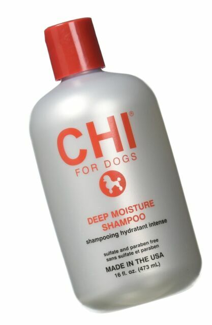 chi dog shampoo