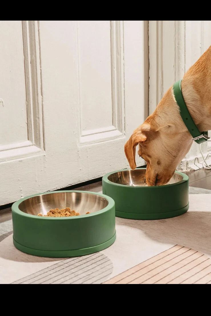 Wild One Pet Food Bowl