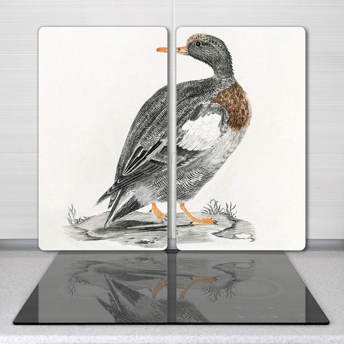 Planche De Cuisine En Verre Dessin Animal Oiseau Branche 2x40x52