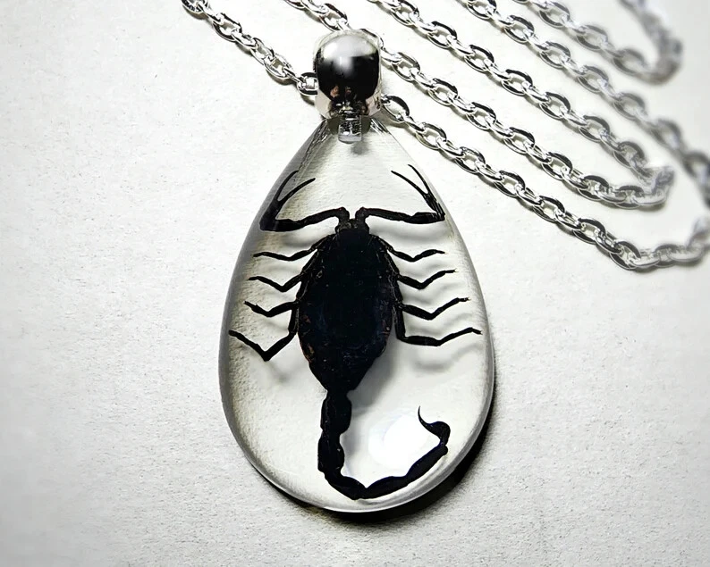Scorpion necklace online
