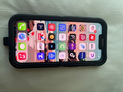 Apple iPhone 13  blue with TikTok new