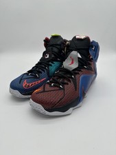 Nike LeBron 12 SE What The for Sale | Authenticity  display picture 1