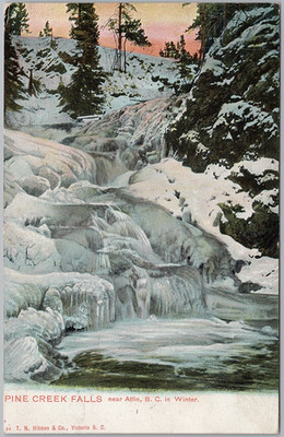 Pine Creek Falls Near Atlin BC Winter Scene Hibben 1905 Postcard H87