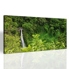 Wasserfall im Regenwald Canvas Bilder Leinwandbild Leinwand Groß 140x70
