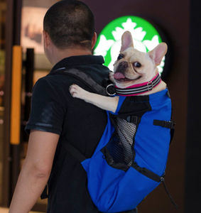 frenchie dog backpack