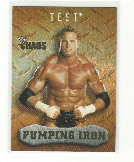 2004 FLEER WWE CHAOS WRESTLING SINGLES #'S 1-95 & INSERTS