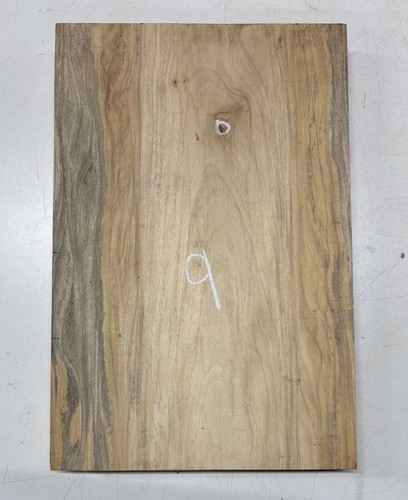 Primavera Single Pcs Guitar Body Blank 21"x 14"x 1-7/8" | 12 Lbs #09