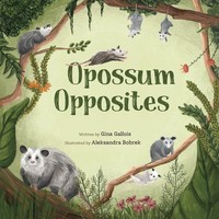 Gina E Gallois | Opossum Opposites | Taschenbuch | Englisch (2020)