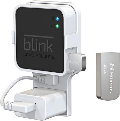 256Gb Usb Flash Drive And Outlet Mount For Blink Sync Module 2, Save S