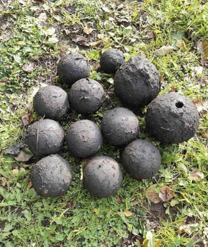 PALLA DI CANNONE +++ CROCE ANTICA N "9" SASSONE 6,6 LIBBRE 3,6 POLLICI RARA!!! LUSSO - Foto 23 di 24