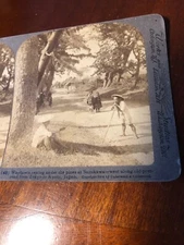 Vintage The Pines at  Suzukawa Japan 1904 Underwood Stereoview Photo Card