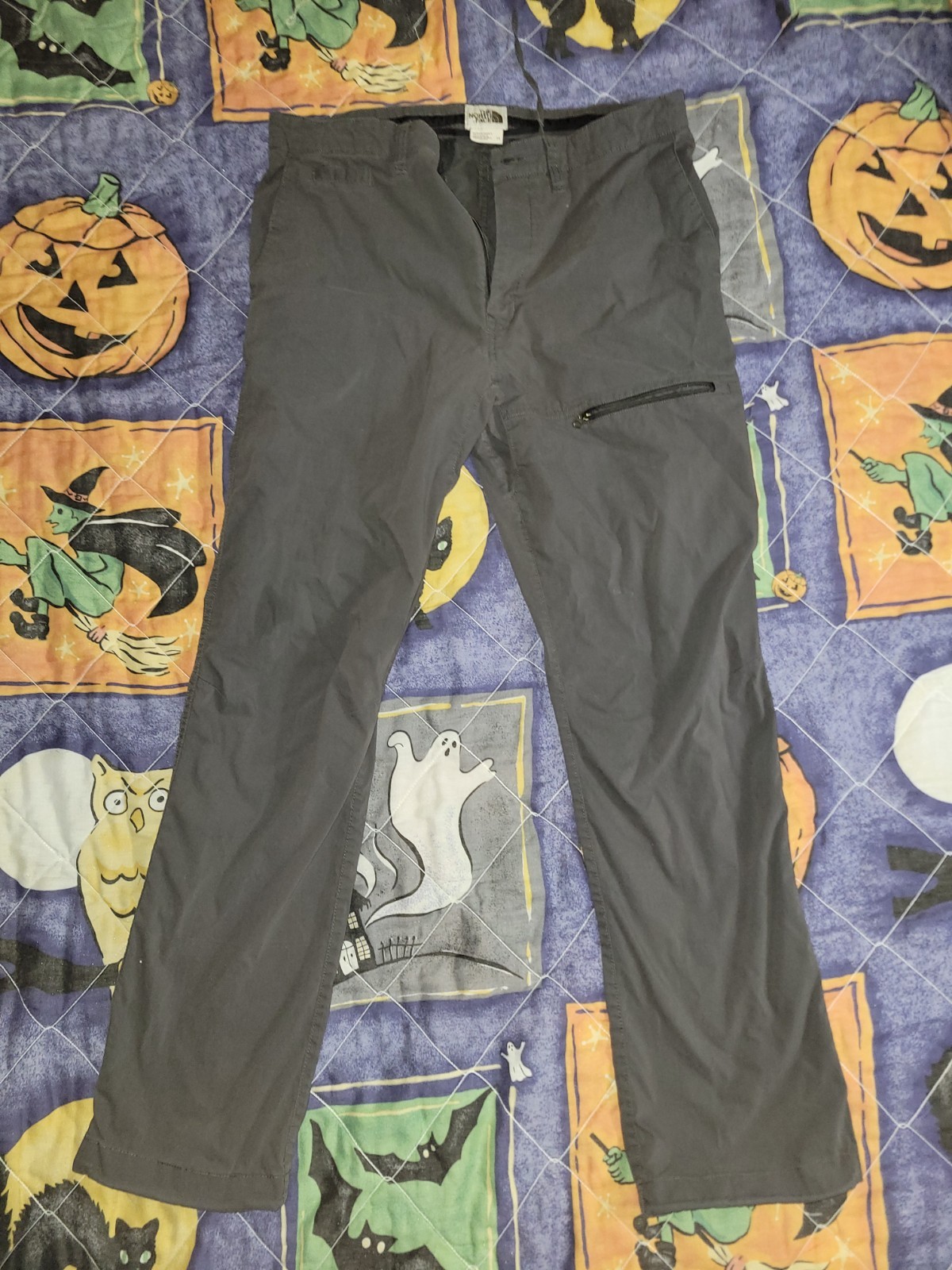 The North Face Outdoor Hiking Athletic Lightweight Pants Mens Size 34x30 Gray