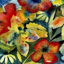 Adrianne Lenker - Songs And Instrumentals New CD 