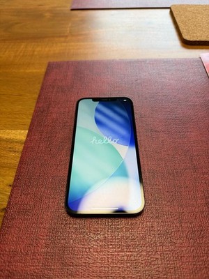 Apple iPhone 12 Pro Max - 512GB - Pacific Blue (Ohne Simlock)
