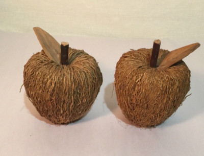 Straw Twig Apple Natural Rustic Country Fruit Craft Fall Decor