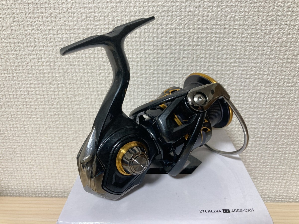 Daiwa Spinning Reel 21 CALDIA LT4000-CXH | eBay