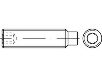 500 x Gewindestifte mit Zapfen undInnensechskant ISO 4028 A 4 M 5 x 12 A 4 VES M