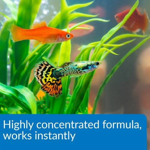 API Pond Aqua Essential Water Conditioner 1 Gal. 424C - 第 4/7 張圖片
