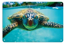 Hawaiian Sea Turtle (Honu) - from an Original Color Photograph by Kirk Lee Aeder