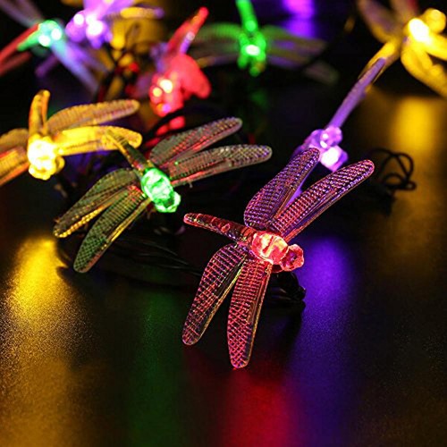 12 Dragonfly LED Solar Spring Lights Dual Function Static Flashing Multi Colour - 第 1/2 張圖片