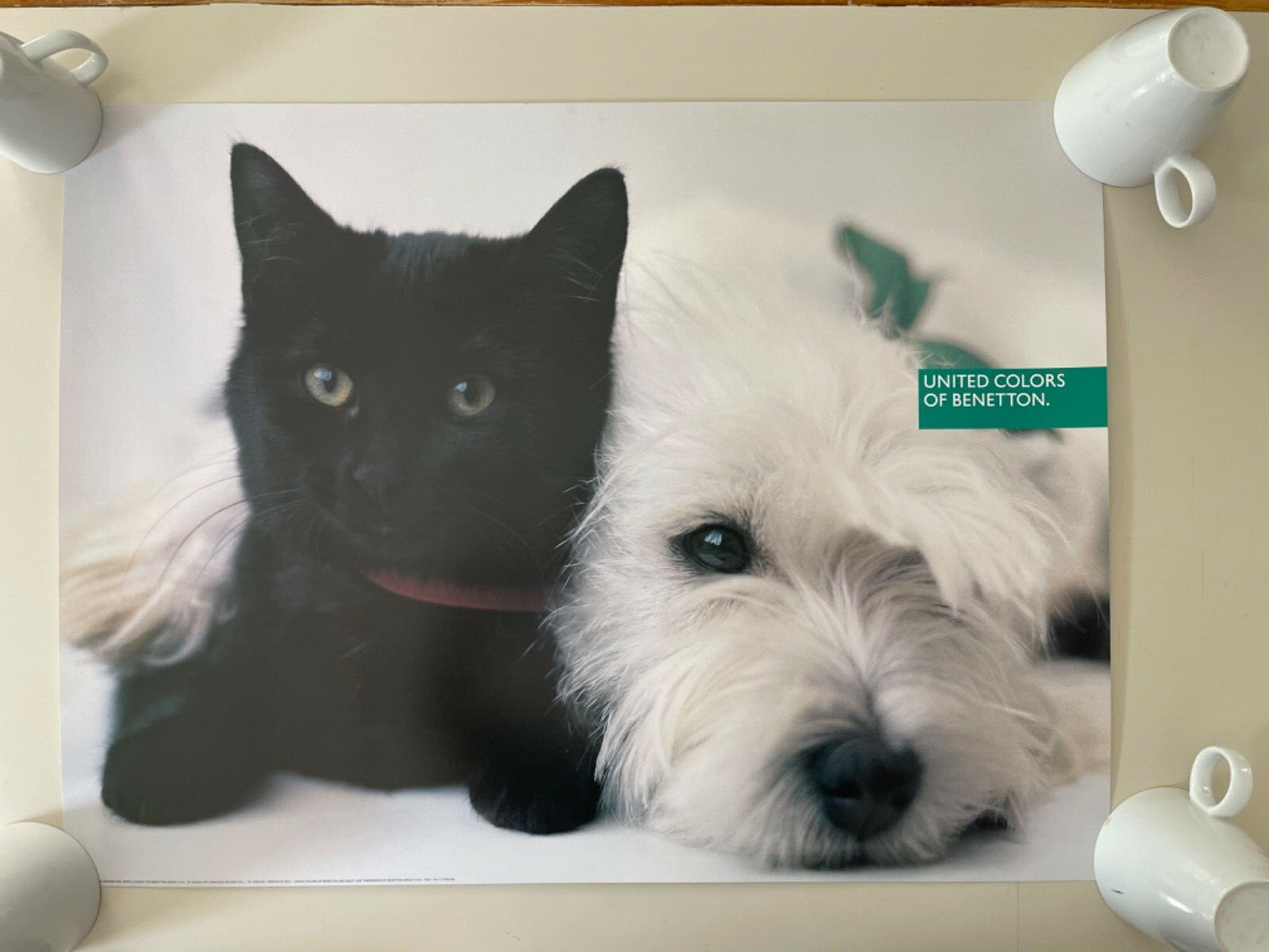 COLORES UNIDOS DE BENETTON, POR OLIVIERO TOSCANI GATO Y PERRO, IMPRESIÓN ARTÍSTICA RARA DE LOS AÑOS 90